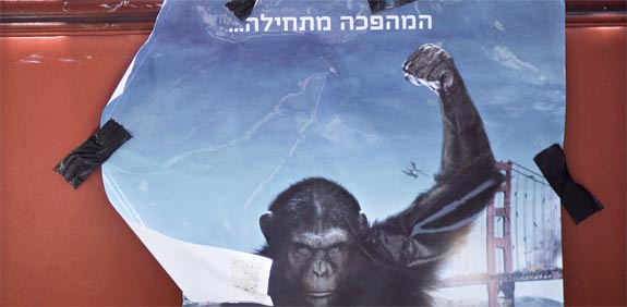 מחאת האוהלים / צלם: שלומי יוסף